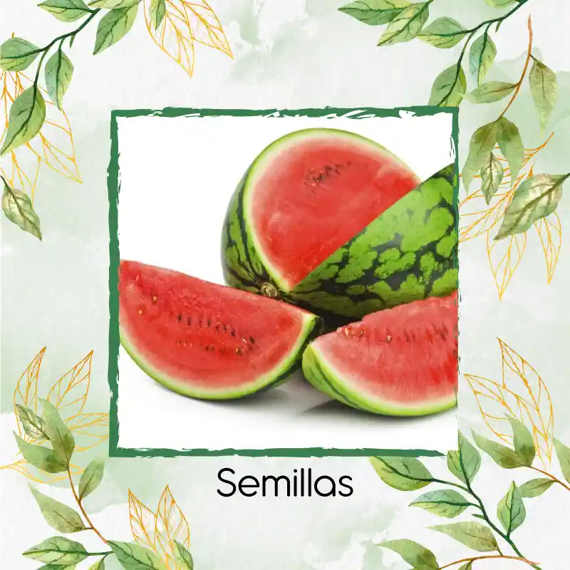 10 Semillas Orgánicas De Fruta Sandia Jubilee