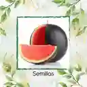 12 Semillas Orgánicas De Fruta Sandia Baby