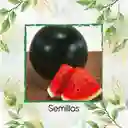 12 Semillas Orgánicas De Fruta Sandia Baby