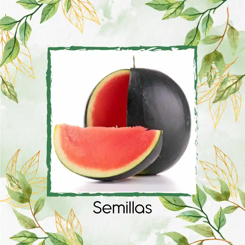 23 Semillas Orgánicas De Fruta Sandia Baby