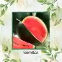 45 Semillas Orgánicas De Fruta Sandia Baby