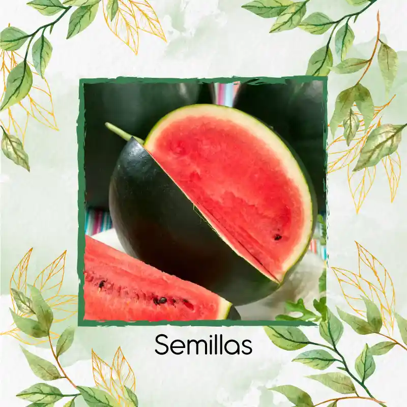 45 Semillas Orgánicas De Fruta Sandia Baby