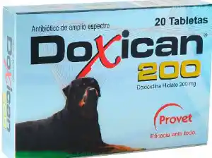 Doxican 200 Sobre X 10pastillas