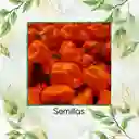 200 Semillas Orgánicas De Ají Habanero Naranja