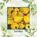 10 Semillas Orgánicas De Ají Habanero Limón