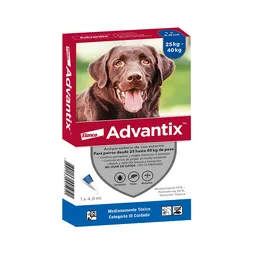 Advantix Perro 25-40kg