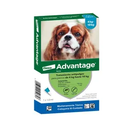 Advantage Perro 4 A 10kg