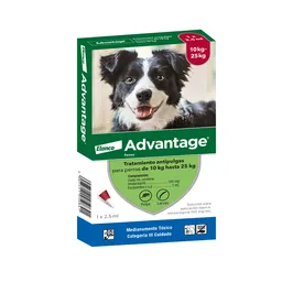 Advantage Perro 10 A 25kg