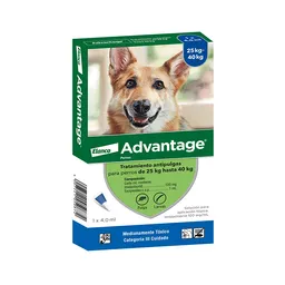 Advantage Perro 25 A 40kg