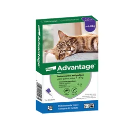 Advantage Gato 4 A 8kg