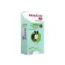 Bravecto 1 Mes 10 A 20 Kg