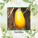 1.000 Semillas Orgánicas De Berenjena Amarilla