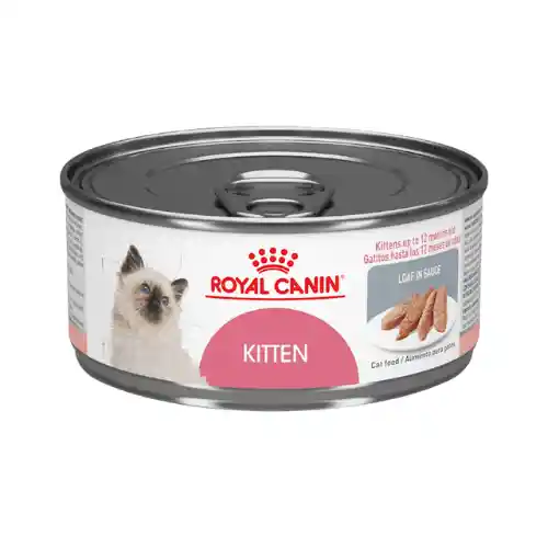 Royal Canin Kitten Alimento Húmedo Lata X 85 G