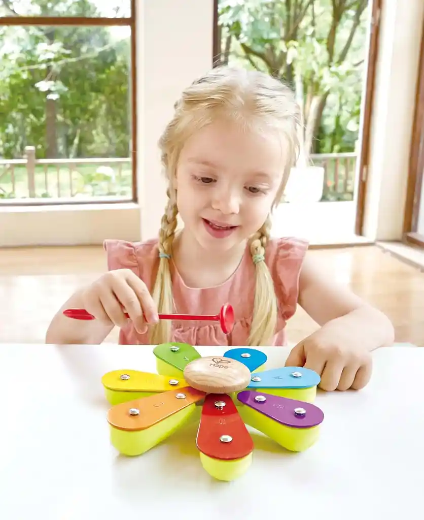 Juego Set Musical 5 En 1 En Madera Hape Para Niños