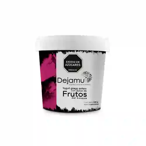 Yogurt Griego con Dulce de Frutos Del Bosque X 1000 gr