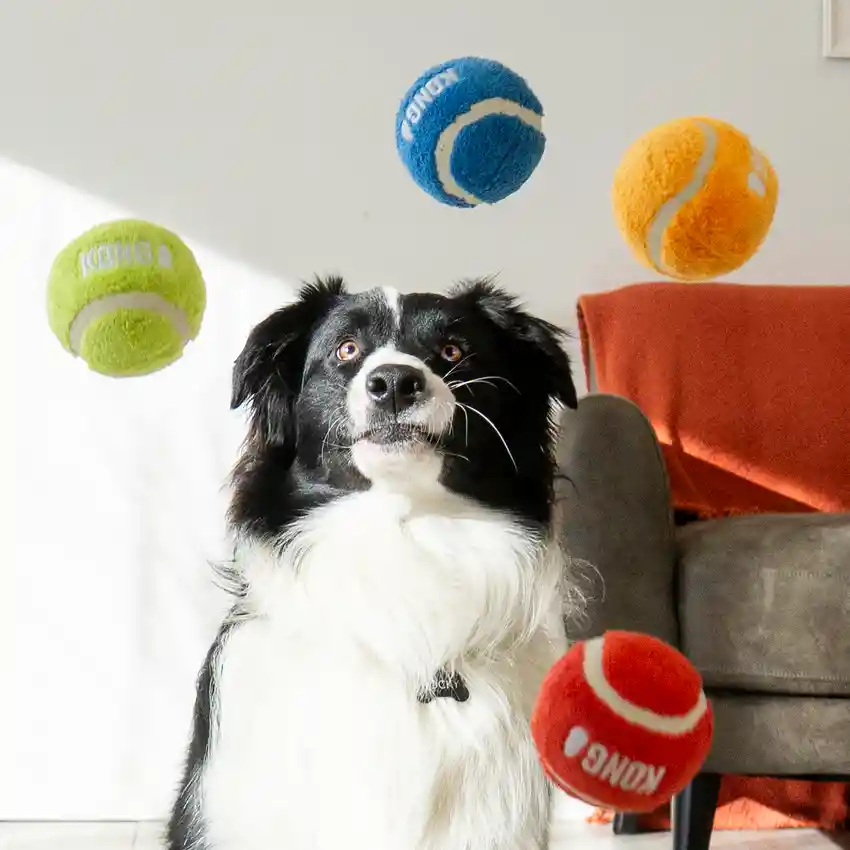 Kong Softies Sports Pelota Para Perro Talla M X3unds