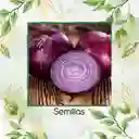50 Semillas Orgánicas De Cebolla Roja