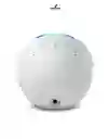 Alexa De Qinta Echo Pop