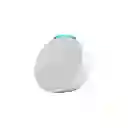 Alexa De Qinta Echo Pop