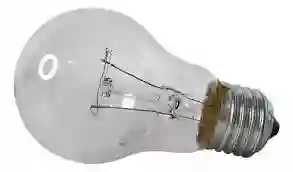 Bombillo Agroindustrial 100w Incandescente