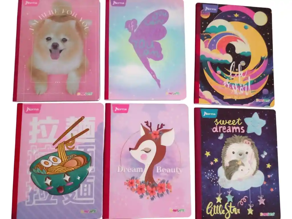 5 Cuadernos Cosidos 100 Hojas Cuadriculados Niña X-pressarte Norma