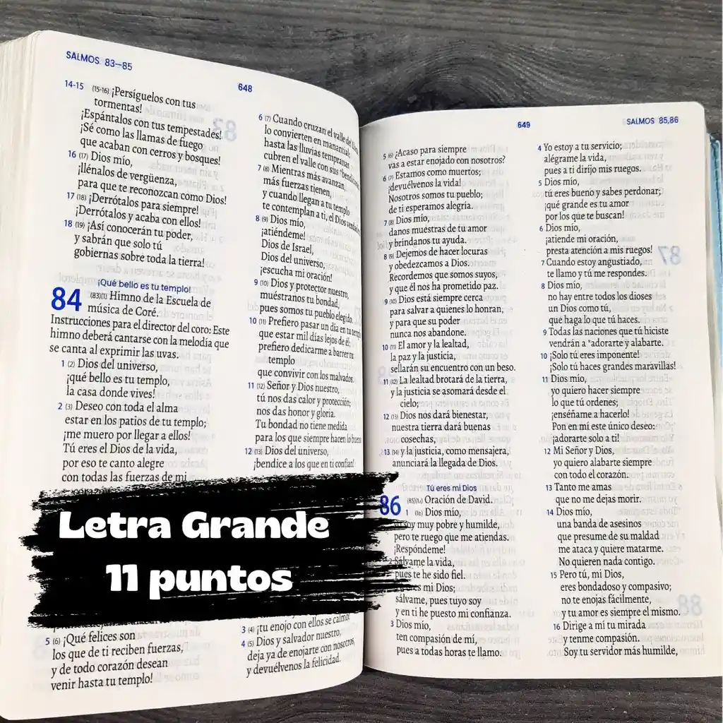 Biblia Tla Azul Letra Grande 11 Puntos Canto Plateado