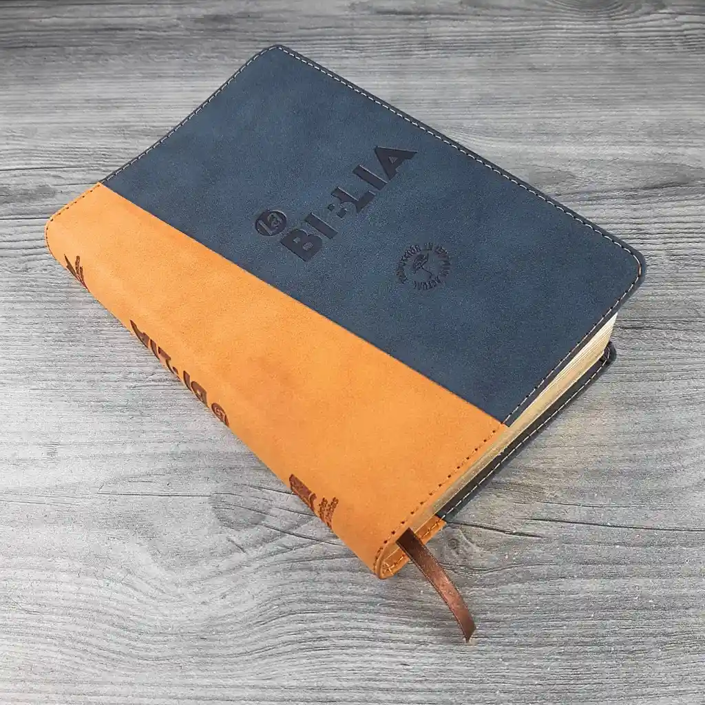 Biblia Tla Azul Café Letra Grande 11 Puntos Canto Dorado