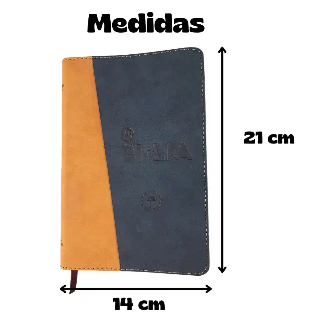Biblia Tla Azul Café Letra Grande 11 Puntos Canto Dorado