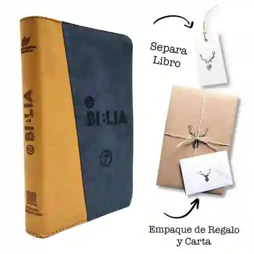 Biblia Tla Azul Café Letra Grande 11 Puntos Canto Dorado