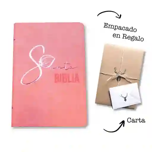 Biblia Rvr 60 Lm Color Rosado Canto Pintado