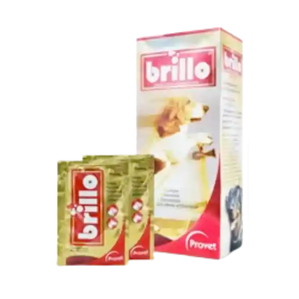 Shampoo Brillo - (1 Sobre)