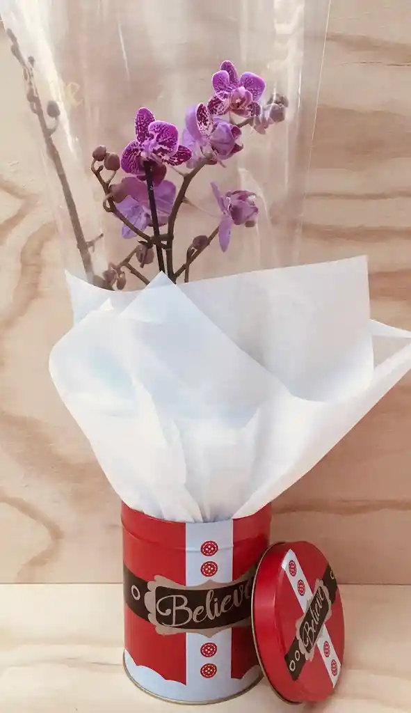 Caja Orquídea Y Chocolates