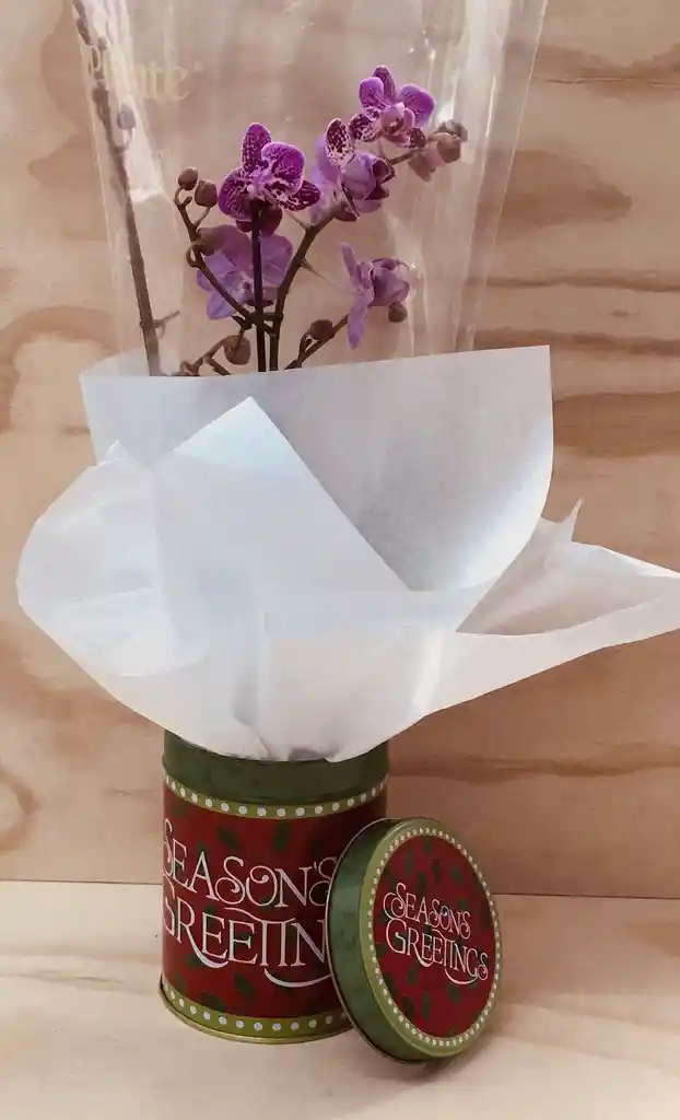 Caja Orquídea Y Chocolates