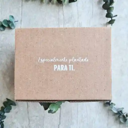 Regalo De Navidad Cultiva Tus Sueños🎄+ Vela + Esfero