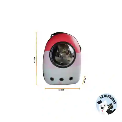Morral Capsula Con Diseños Para Gatos