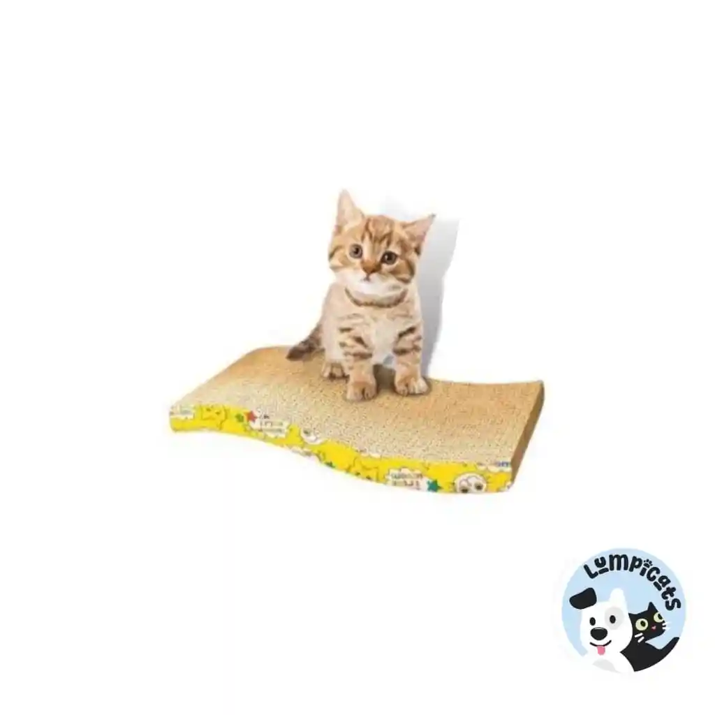 Rascador Carton Forma S Para Gatos