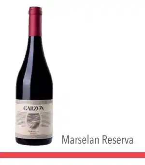 Garzon Reserva Marselan