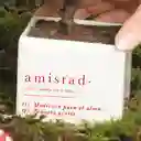 Matera Amistad Con Bonsai