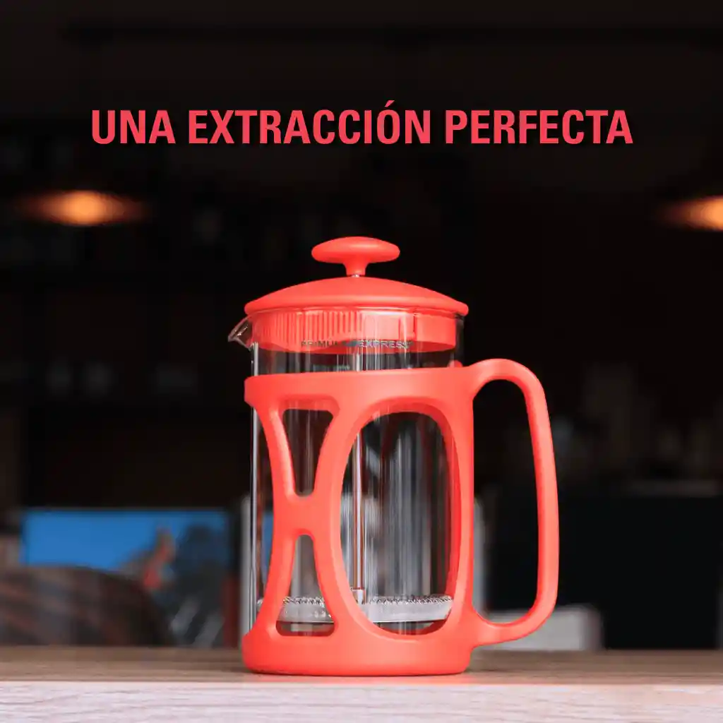 Prensa Francesa Primula Express (6 Tazas - 800ml)