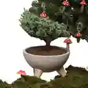 Bowl Bonsai Pino 3 Años Con Charm Hongo