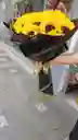 Bouquet De Girasoles