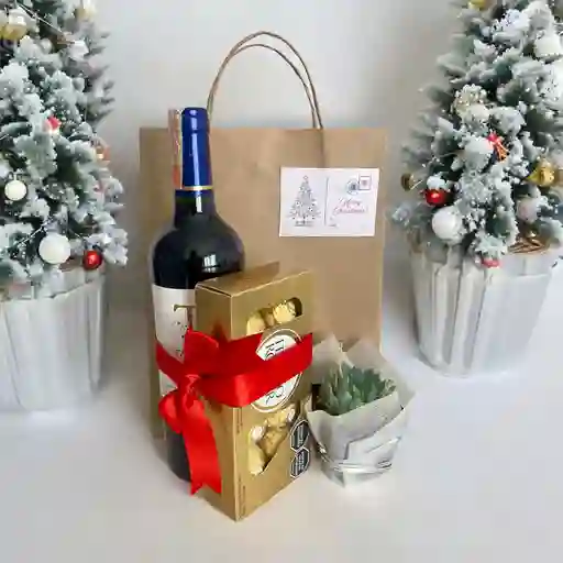 Ancheta Navidad - Kit Vino -chocolates Y Suculentas