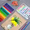 Caja De Colores Kalour – Núcleo Suave Para Dibujo Y Sombreado