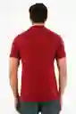 Polo Roja Con Raqueta Multicolor Para Hombre