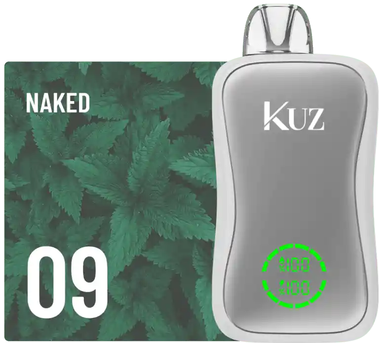 Vaporizador Kuz Flow 25.000 Puffs Sabor Naked