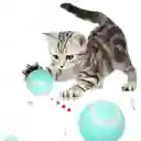 Pelota Interactiva Para Mascotas Recargable