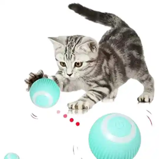 Pelota Interactiva Para Mascotas Recargable