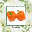 120 Semillas Orgánicas De Pimentón Naranja