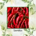 100 Semillas Orgánicas De Pimentón Peperoncino Italiano