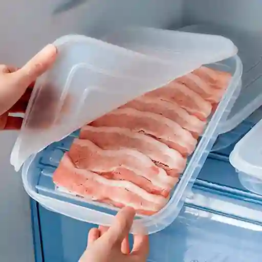 Contenedor De Carnes Frías